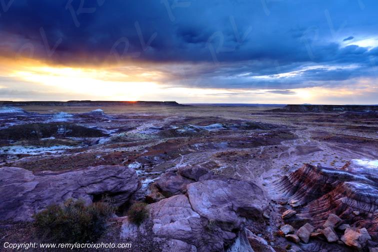 Petrified Forest National Park Arizona USA