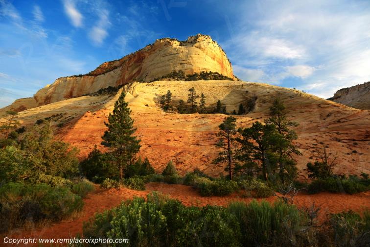 Mount Carmel Highway Zion National Park Utah USA  www.remylacroixphoto.com