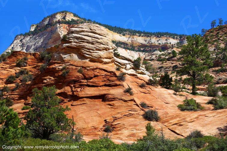 Mount Carmel Highway Zion National Park Utah USA www.remylacroixphoto.com
