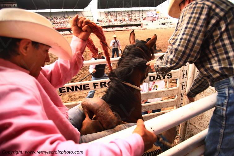 Cheyenne Frontier Days rodeo Wyoming USA www.remylacroixphoto.com