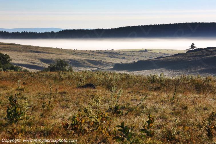Col de Bonnecombe Aubrac Loz�re Languedoc-Roussillon Occitanie France www.remylacroixphoto.com