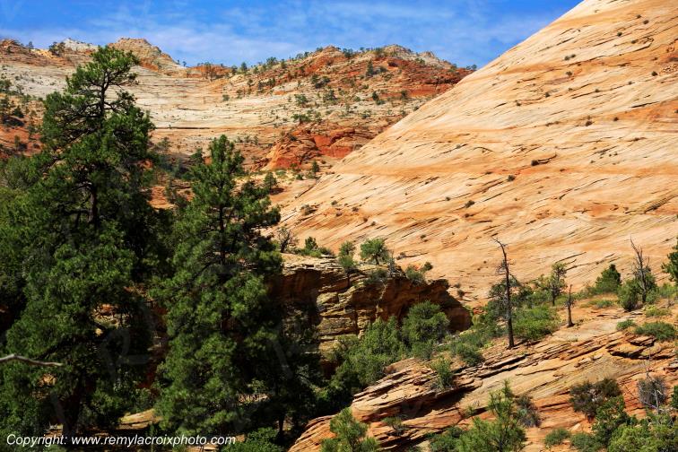 Mount Carmel Highway Zion National Park Utah USA www.remylacroixphoto.com