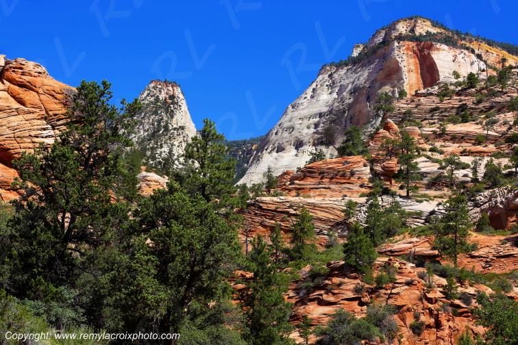 Mount Carmel Highway Zion National Park Utah USA