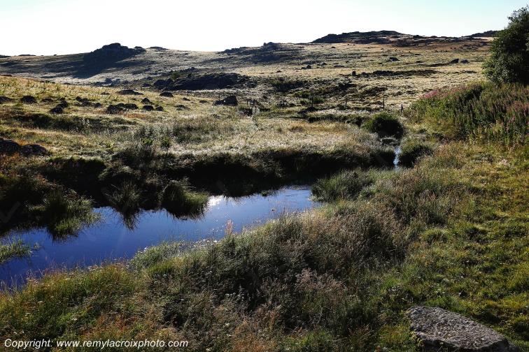 Col de Bonnecombe Aubrac Loz�re Languedoc-Roussillon Occitanie France www.remylacroixphoto.com