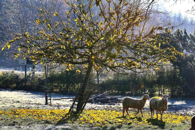 Castelnaud la Chapelle Dordogne Nouvelle Aquitaine France www.remylacroixphoto.com