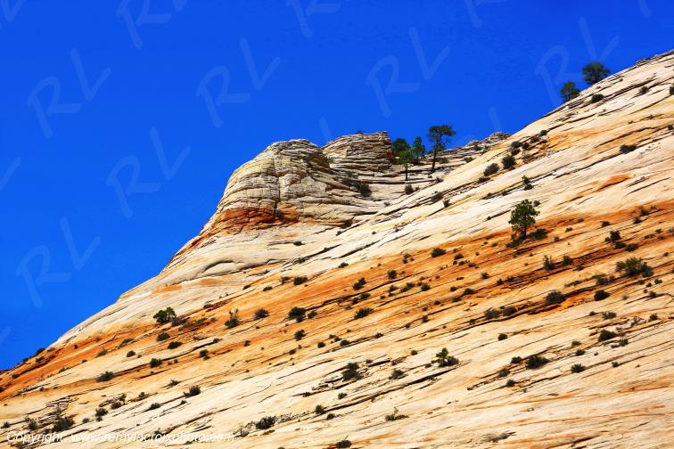 Mount Carmel Highway Zion National Park Utah USA