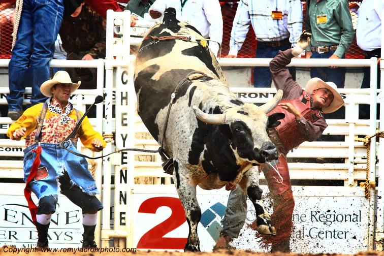 Cheyenne Frontier Days rodeo Bull Riding Wyoming USA www.remylacroixphoto.com