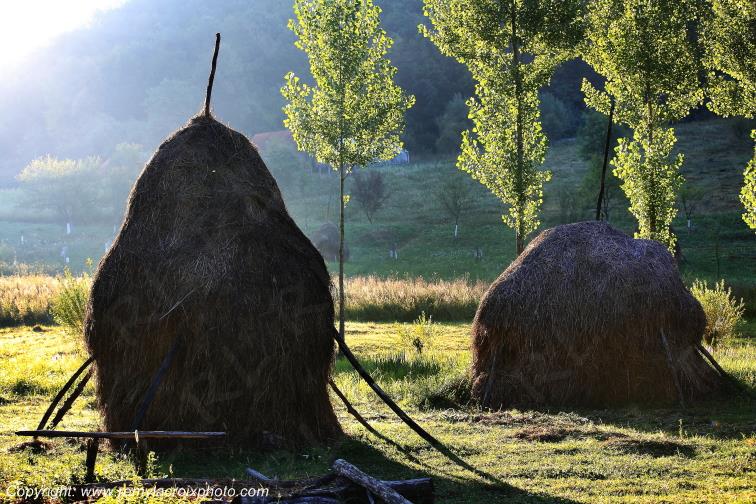 Godinesti Banat Romania Roumanie www.remylacroixphoto.com