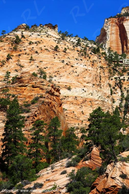 Mount Carmel Highway Zion National Park Utah USA
