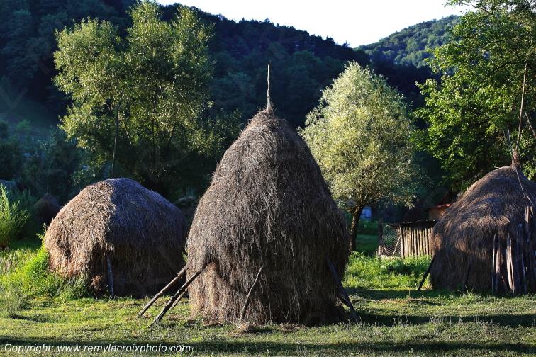 Godinesti Banat Romania Roumanie www.remylacroixphoto.com