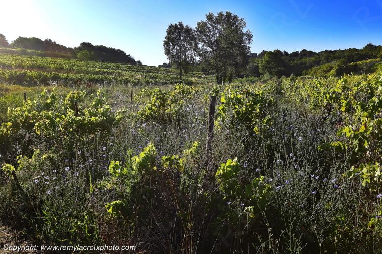 Roussillon Lub�ron Vaucluse Provence Alpes C�te d'Azur PACA France www.remylacroixphoto.com