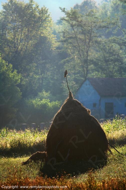 Godinesti Banat Romania Roumanie www.remylacroixphoto.com