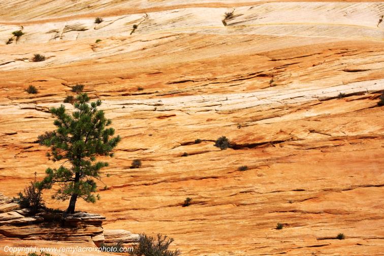 Mount Carmel Highway Zion National Park Utah USA