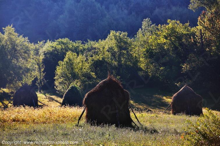 Godinesti Banat Romania Roumanie www.remylacroixphoto.com
