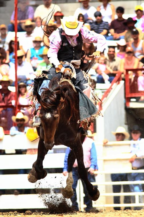 Cheyenne Frontier Days rodeo Wyoming USA www.remylacroixphoto.com