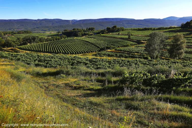 Roussillon Lub�ron Vaucluse Provence Alpes C�te d'Azur PACA France www.remylacroixphoto.com