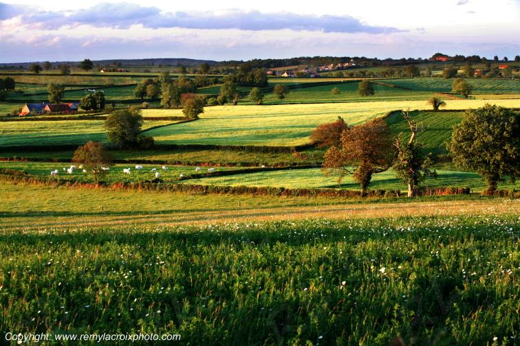 Le Vilhain Tron�ais Allier Auvergne Rh�ne-Alpes France www.remylacroixphoto.com