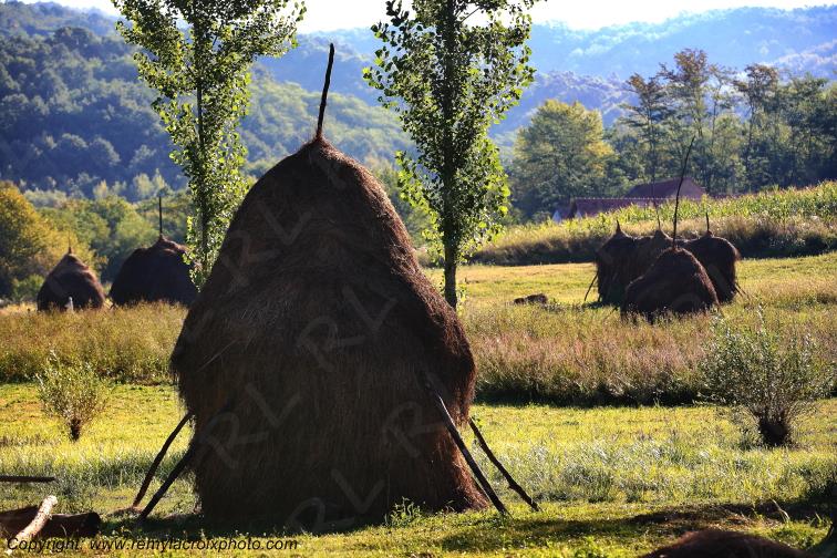 Godinesti Banat Romania Roumanie www.remylacroixphoto.com