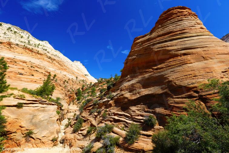 Mount Carmel Highway Zion National Park Utah USA