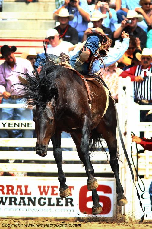 Cheyenne Frontier Days rodeo Wyoming USA www.remylacroixphoto.com