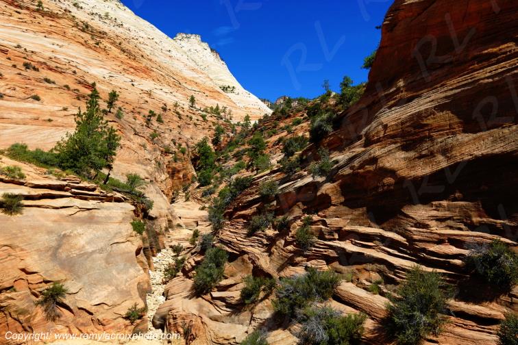 Mount Carmel Highway Zion National Park Utah USA