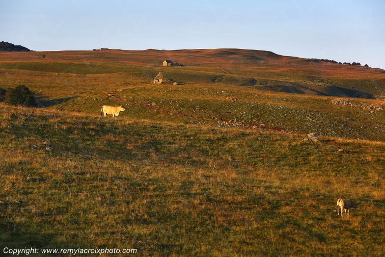 Col de Bonnecombe Aubrac Loz�re Languedoc-Roussillon Occitanie France www.remylacroixphoto.com