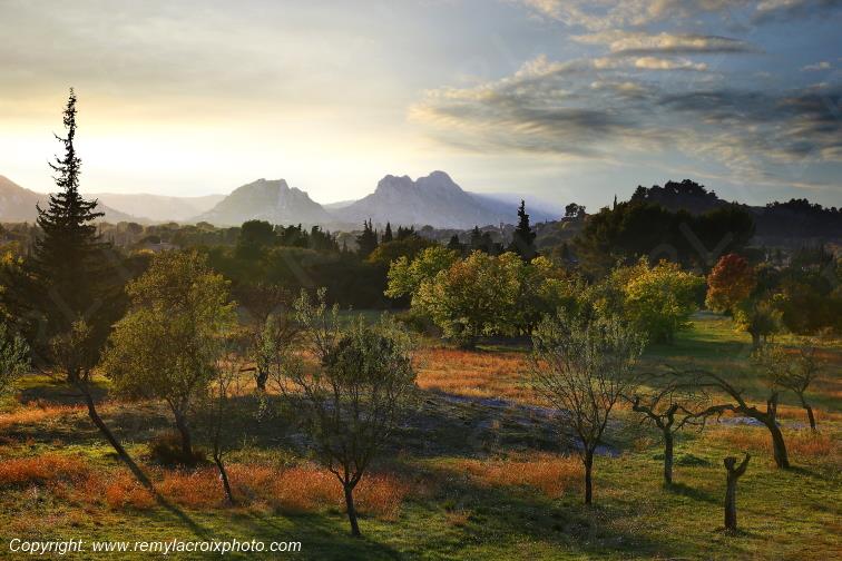 Eygali�res Alpilles Bouches du Rh�ne Provence Alpes C�te d'Azur France www.remylacroixphoto.com