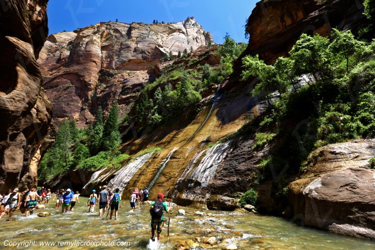 Riverside Walk Zion National Park Utah USA