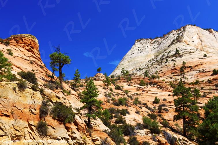 Mount Carmel Highway Zion National Park Utah USA