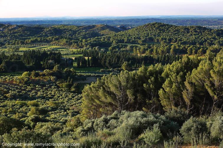 Les Baux de Provence Garrigue Bouches du Rh�ne Provence Alpes C�te d'Azur France PACA www.remylacroixphoto.com