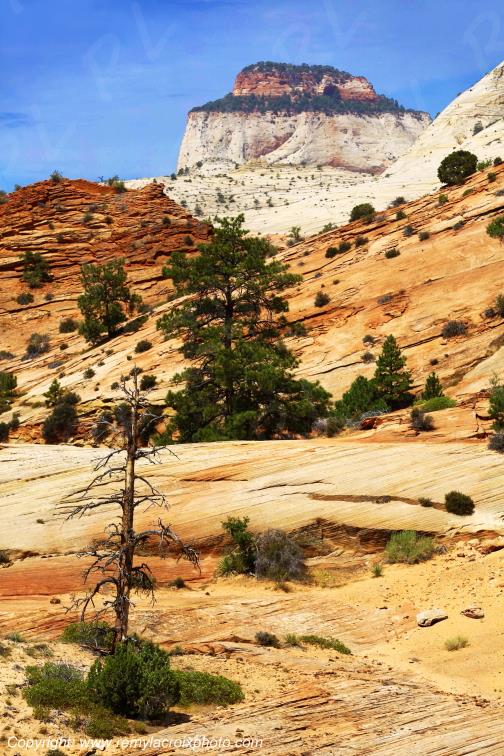 Mount Carmel Highway Zion National Park Utah USA www.remylacroixphoto.com