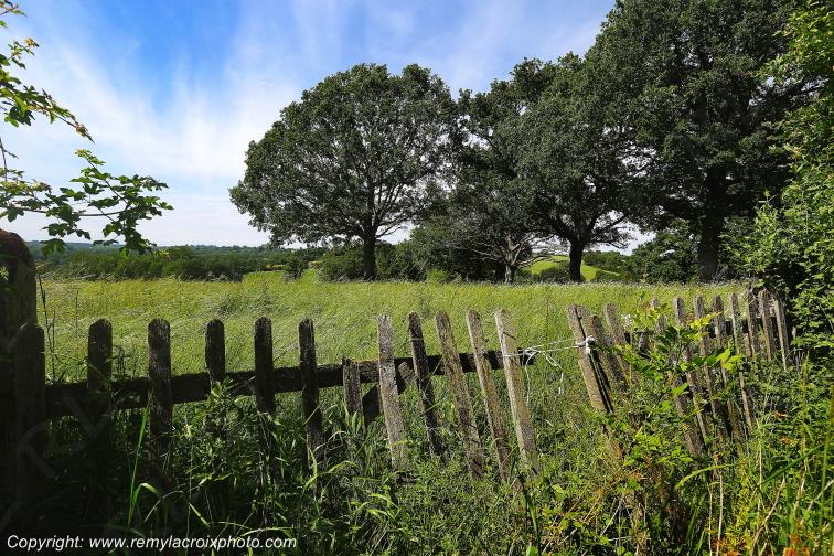 Tranzault Indre Berry Centre Val de Loire France www.remylacroixphoto.com