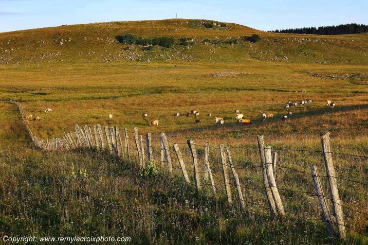 Col de Bonnecombe Aubrac Loz�re Languedoc-Roussillon Occitanie France www.remylacroixphoto.com