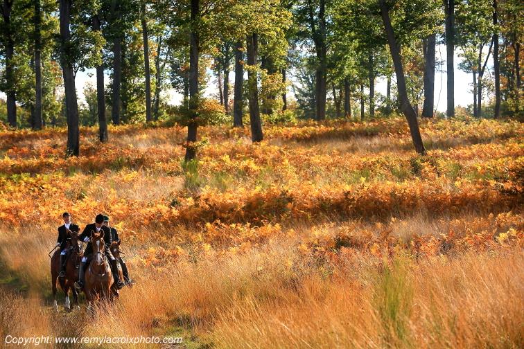 Chasse � Courre Tron�ais for�t Allier Auvergne France