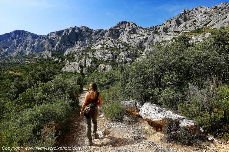 Montagne Sainte Victoire Saint Ser Bouches du Rh�ne Provence Alpes C�te d'Azur France www.remylacroixphoto.com
