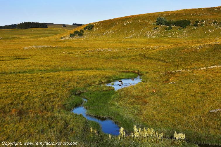 Ruisseau Le Pl�ches Nasbinals Aubrac Loz�re Languedoc-Roussillon Occitanie France www.remylacroixphoto.com