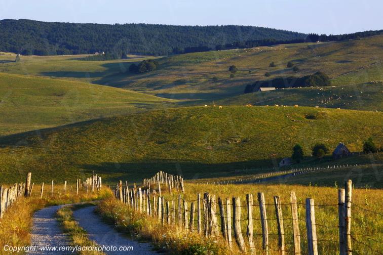 Col de la Matte Aubrac Cantal Auvergne Rh�ne-Alpes France www.remylacroixphoto.com