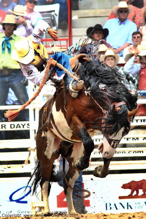 Cheyenne Frontier Days rodeo Wyoming USA www.remylacroixphoto.com