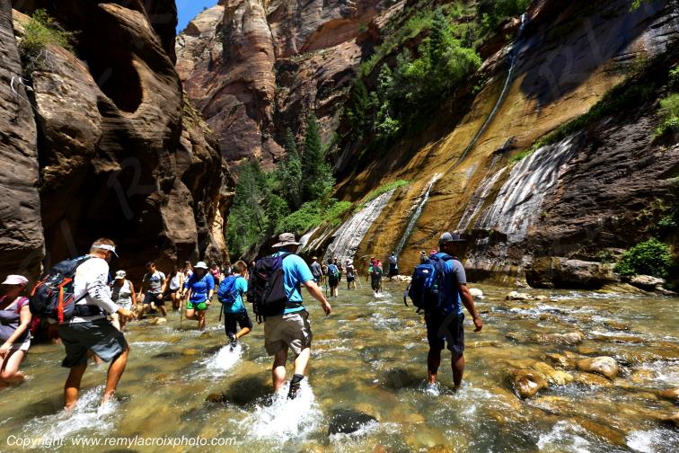 Riverside Walk Zion National Park Utah USA