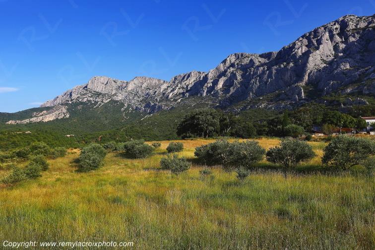 Montagne Sainte Victoire Saint Ser Bouches du Rh�ne Provence Alpes C�te d'Azur France www.remylacroixphoto.com