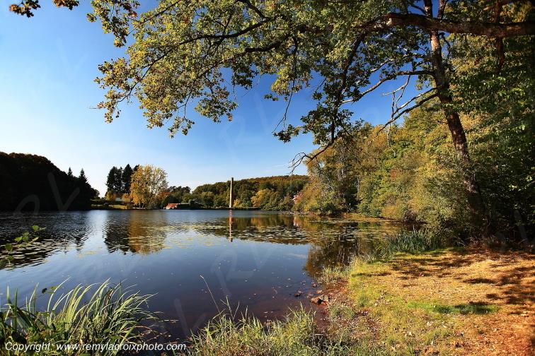 Tron�ais �tang de Morat for�t Allier Auvergne France