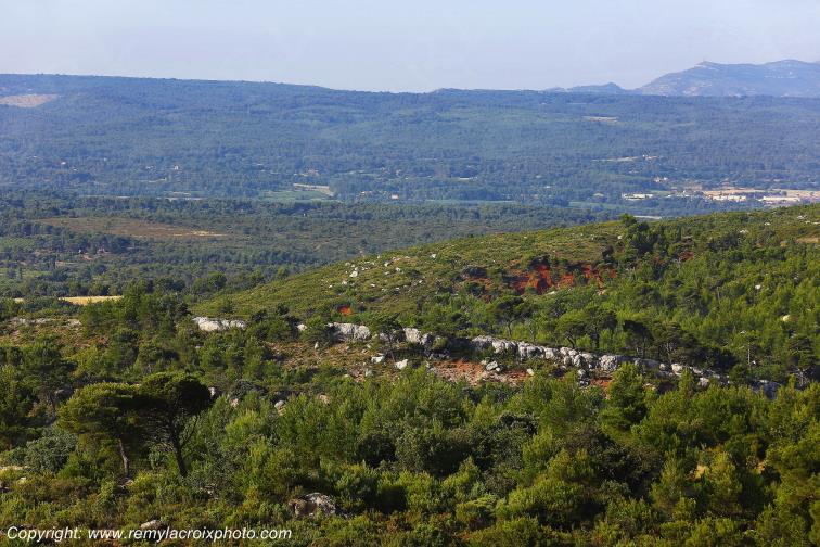 Montagne Sainte Victoire Saint Ser Bouches du Rh�ne Provence Alpes C�te d'Azur France www.remylacroixphoto.com