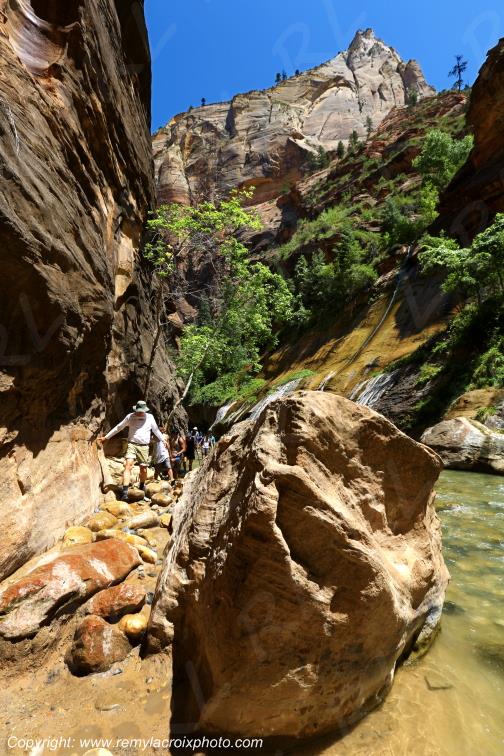 Riverside Walk Zion National Park Utah USA