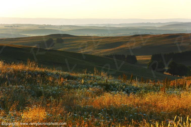 Col de la Matte Aubrac Cantal Auvergne Rh�ne-Alpes France www.remylacroixphoto.com