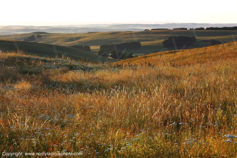 Col de la Matte Aubrac Cantal Auvergne Rh�ne-Alpes France www.remylacroixphoto.com