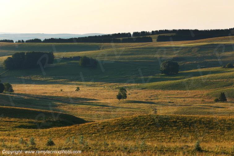 Col de la Matte Aubrac Cantal Auvergne Rh�ne-Alpes France www.remylacroixphoto.com