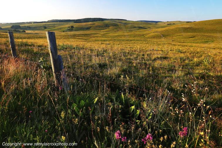 Col de la Matte Aubrac Cantal Auvergne Rh�ne-Alpes France www.remylacroixphoto.com