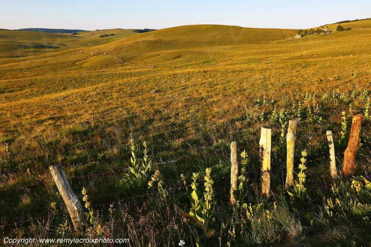Col de la Matte Aubrac Cantal Auvergne Rh�ne-Alpes France www.remylacroixphoto.com