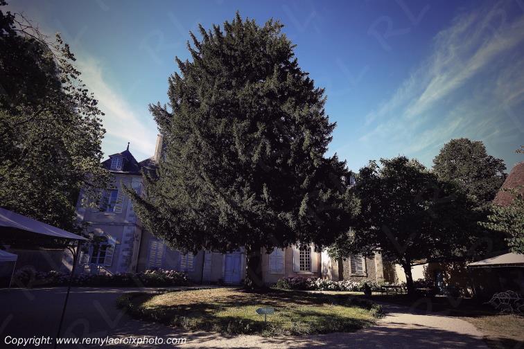 Nohant George Sand Indre Berry Centre Val de Loire France www.remylacroixphoto.com