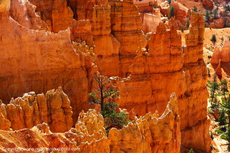 Sunrise Point Bryce Canyon National Park Utah USA